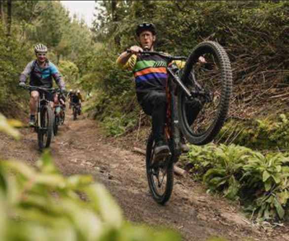 Mountain Bikes