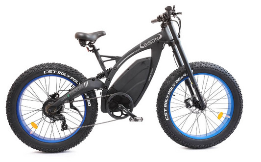 Ecotric - Bison - Fat Tire E-Bike (48v 17.5AH 1000W)