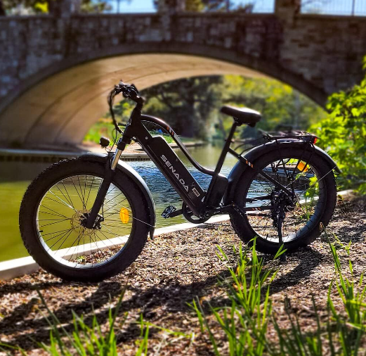 Unveiling the Power Within: A Comprehensive Guide to Types of Electric Bike Motors