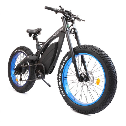 Ecotric - Bison - Fat Tire E-Bike (48v 17.5AH 1000W)