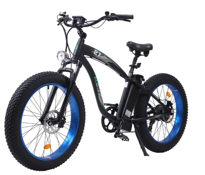 Ecotric - Hammer E-Bike (Fat Tire/Beach/Snow Bike) (UL Certified)