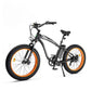 Ecotric - Hammer E-Bike (Fat Tire/Beach/Snow Bike) (UL Certified)