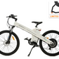 Ecotric - Seagull - Mountain EBike (48V 1000W)