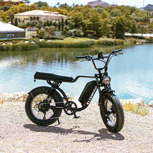 NAKTO - F2 ELECTRIC BIKE