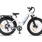 SENADA MAYOR 750W 48V 20Ah Premium All-terrain Fat Tire Electric Bike