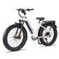 SENADA MAYOR 750W 48V 20Ah Premium All-terrain Fat Tire Electric Bike