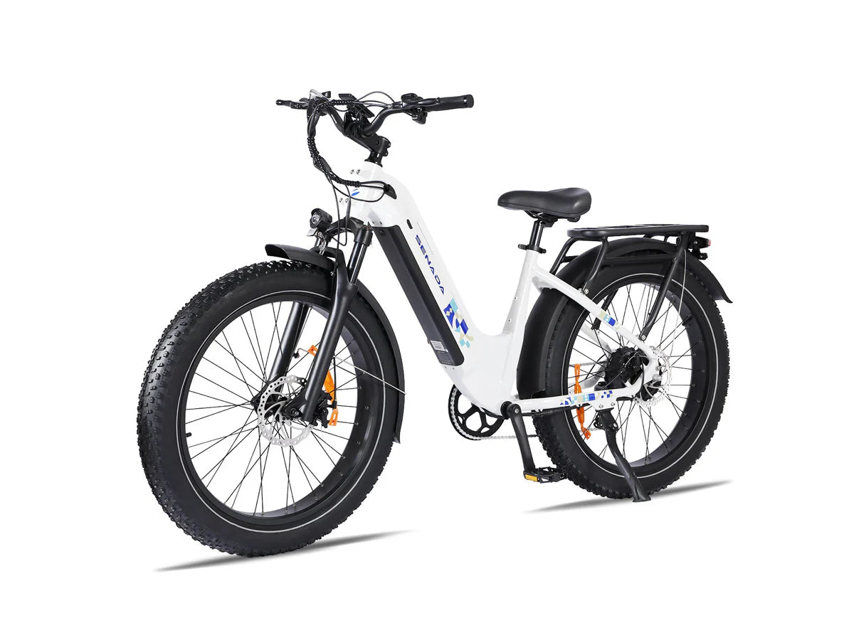 SENADA MAYOR 750W 48V 20Ah Premium All-terrain Fat Tire Electric Bike