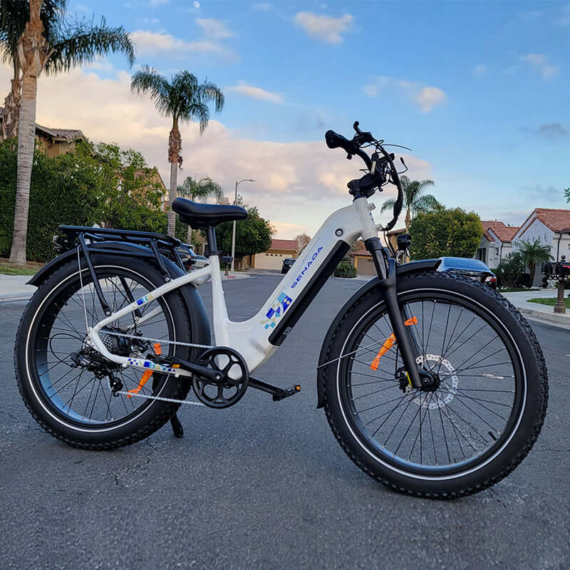 SENADA MAYOR 750W 48V 20Ah Premium All-terrain Fat Tire Electric Bike